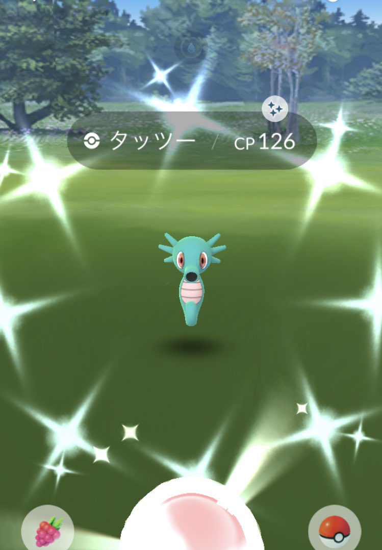 にゃかはろ ポケモンgo青東京 最近のポケモンgo活動記録 ゆるっとやってますー 色違いタッツー久しぶりにget 雨続きで行動範囲が狭くなる日々 半日イベントもあるので今日は少し頑張りたいです ポケモンgo 色違い にゃかはろ ポケモンgo青東京 最近のポケモンgo活動記録 ゆるっとやってますー 色違いタッツー久しぶりにget 雨続きで行動範囲が狭くなる日々 半日イベントもあるので今日は少し頑張りたいです ポケモンgo 色違い