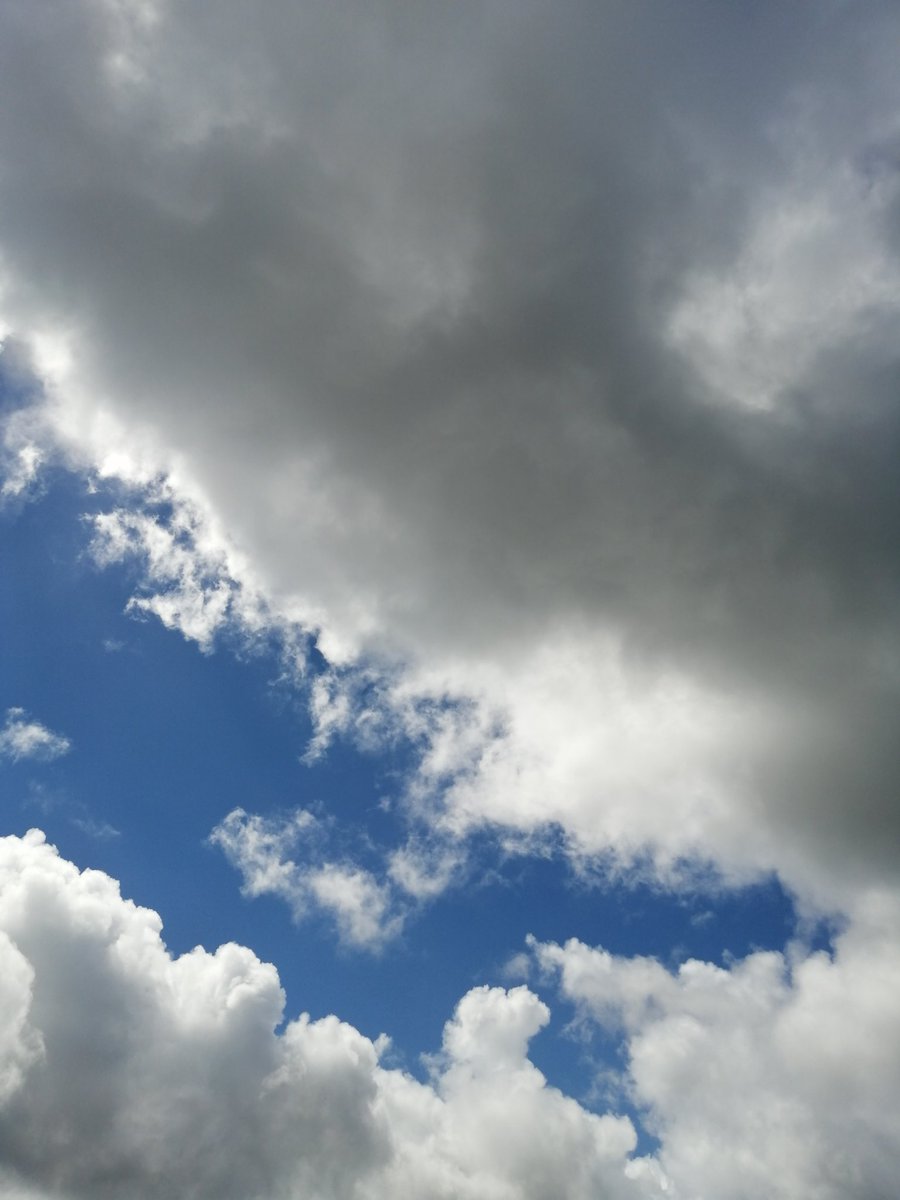 toshib9's tweet image. 田舎生活は、人生を豊かにする可能性あります。