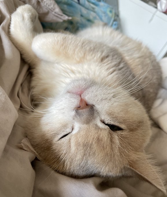 Today I have a difficult day, maybe there will be no broadcast if I have to be with Sam when he comes