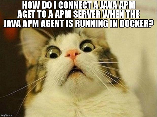 overflow_meme's tweet image. How do I connect a Java APM aget to a APM server when the Java APM agent is running in Docker? stackoverflow.com/questions/6888… #elasticapm #elasticsearch #docker #springboot #java