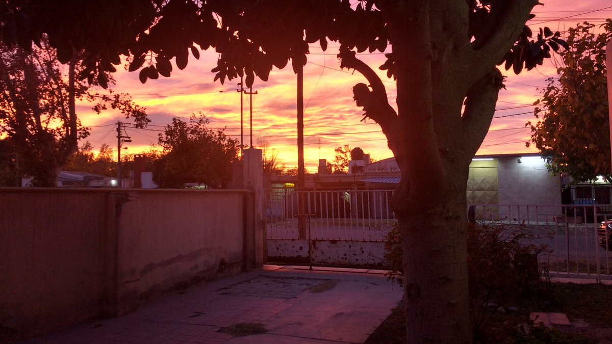 ConstanXIPaleo's tweet photo. Recien vuelvo a mi casa de un viaje largo y saque esta foto en la mañana, me parece una belleza https://t.co/AEwKOsHfmT