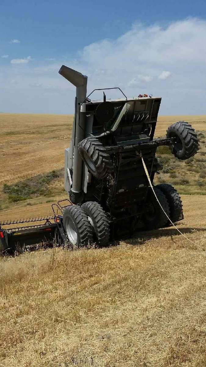 How it started: How it’s going😁