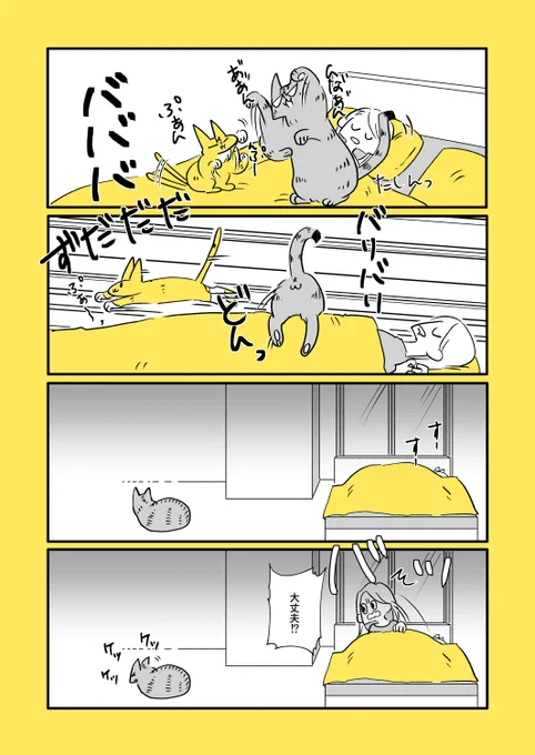 猫と子猫と音
https://t.co/KXrIo6CvGl 