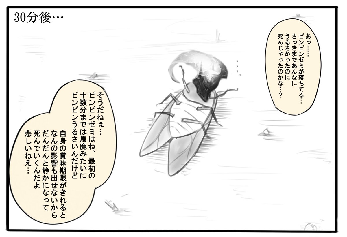 最近セミの鳴き声が聞こえなくなってきて寂しさを感じています😢
なおサモリフ 