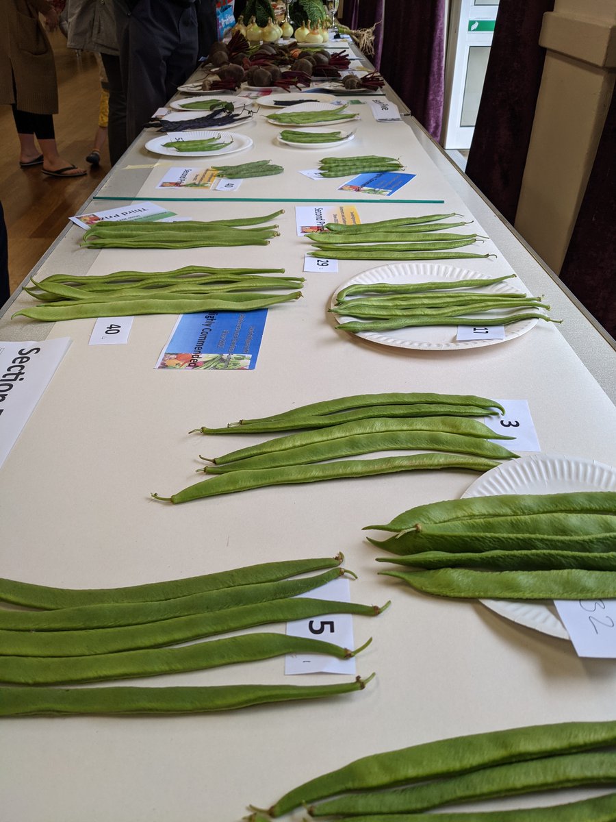 Super Sawbridgeworth Gardens and Allotments show yesterday – great entries and really well supported.