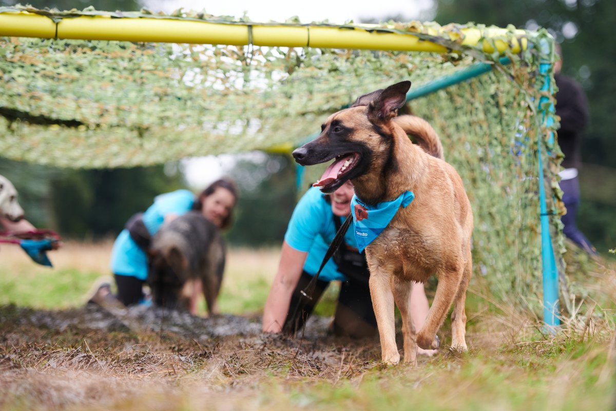 Battersea_'s tweet image. Thank you to everyone who came along to the first #MuddyDogChallenge Event of the year in Stansted yesterday! It was incredible to be back and getting muddy with you all, we hope you had as much fun as we did. 💙