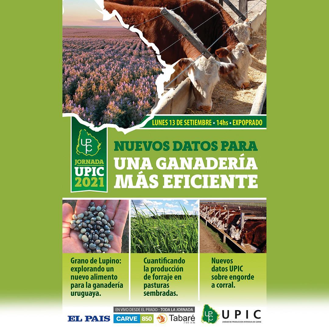 RURALES EL PAÍS (@ruraleselpaisuy) on Twitter photo 