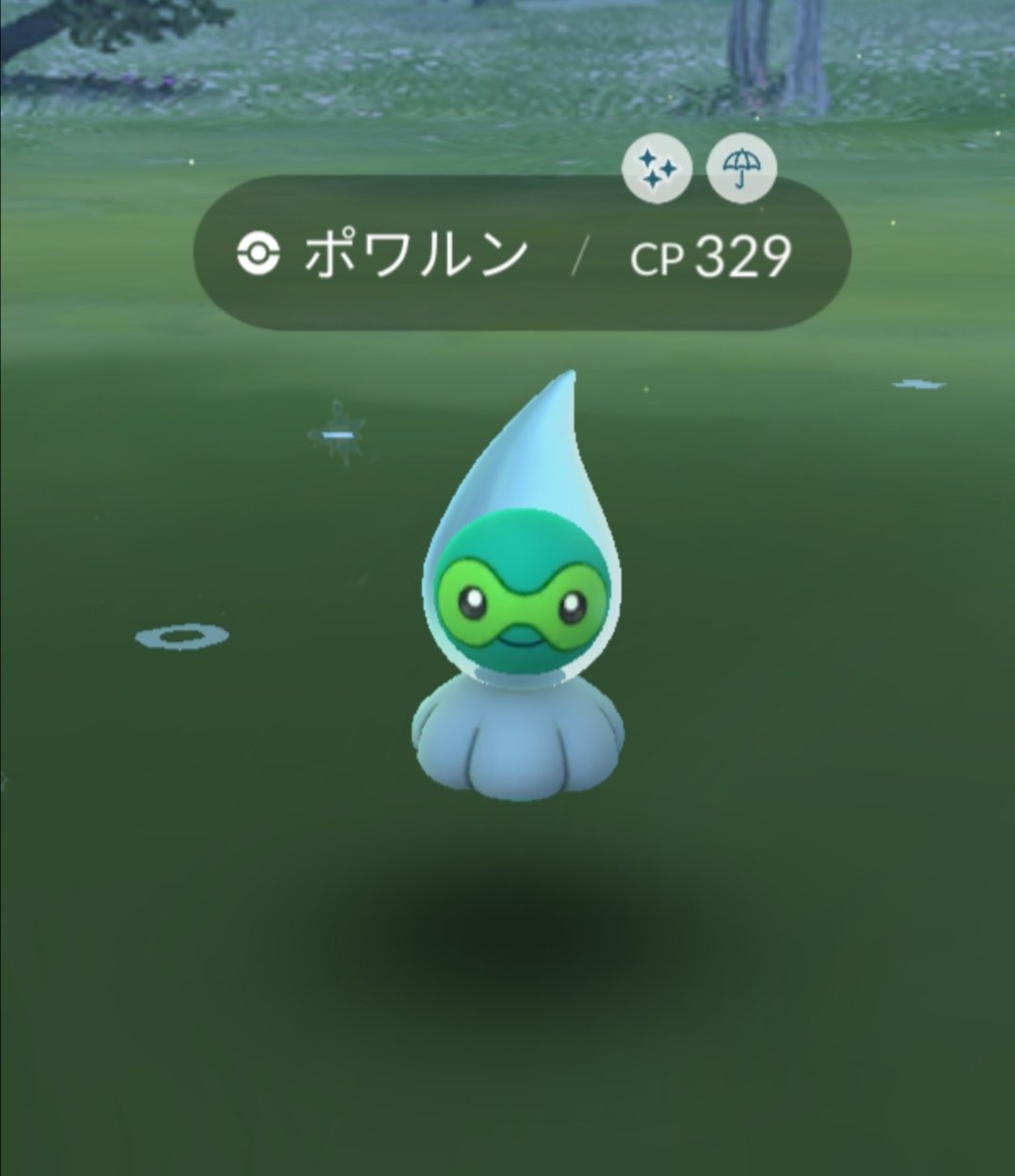 ポワルン Twitter Search Twitter