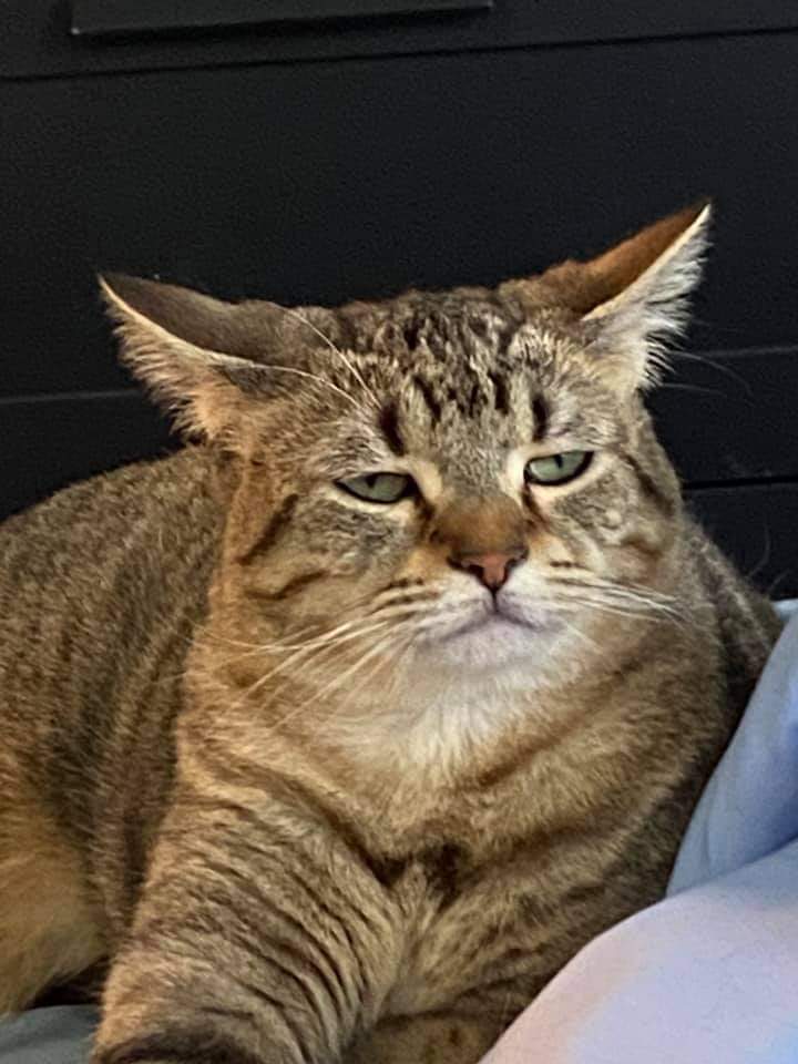 Patiente qui me relate des faits de viol, j'appelle le commissariat avec elle pour un dépôt de plainte, première question du policier en haut parleur :

"Bon alors docteur est ce que la patiente est crédible déjà ?"