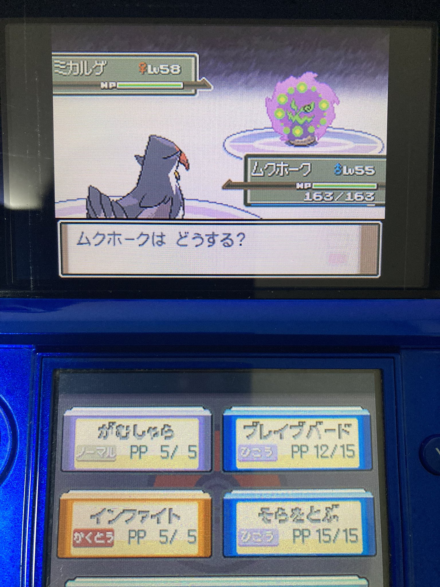 ポケモンpt Twitter Search Twitter
