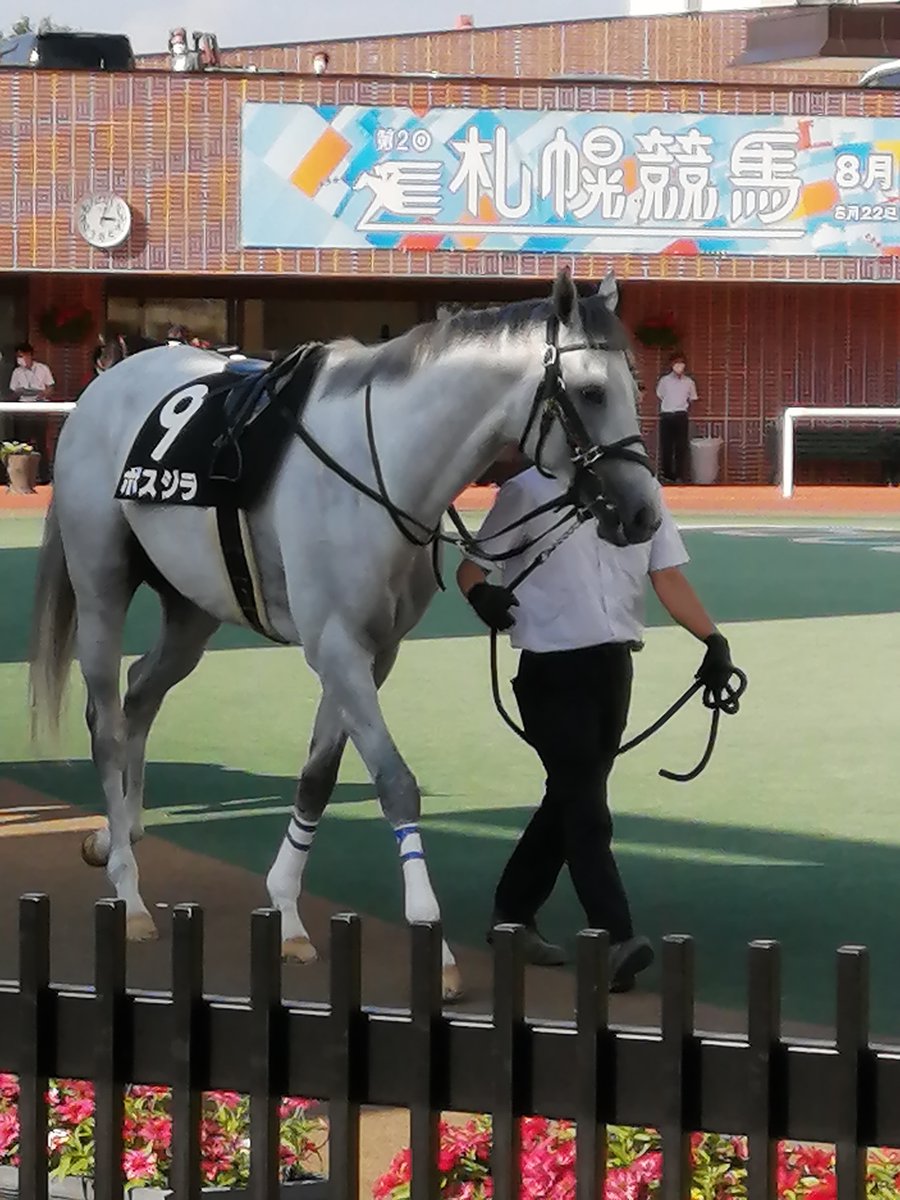 【丹頂ステークス】⑩カウディーリョ、 ボスジラを振り切り粘り勝ち! 三着にゴーストで人気三頭の決着。まとめのカテゴリ一覧いろいろまとめbeansについて関連サイト一覧