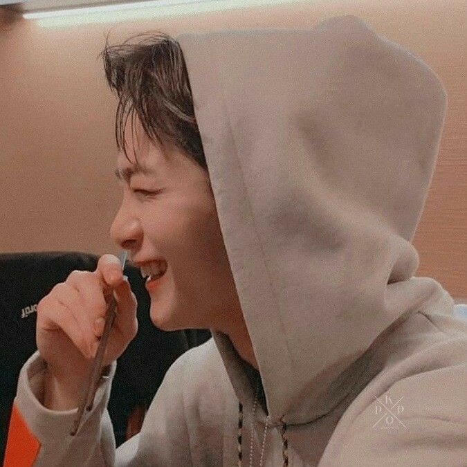 tinykkong's tweet image. he looks so cuddly i'm