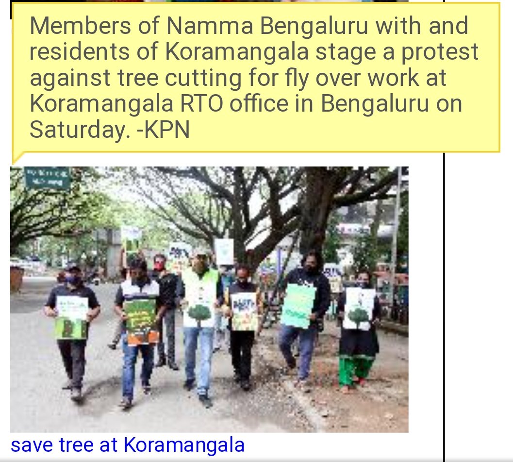 Namma_Bengaluru's tweet photo. @Namma_Bengaluru &amp; residents of Koramangala have taken a Chipko, Mara Thabiko initiative to protect trees in Blru. #savetreessavekoramangala #savetreessavelives #savetreesofblru #savetrees @KannadaPrabha @IndianExpress @DeccanHerald @AsianetNewsSN @CMofKarnataka @DULTBangalore https://t.co/r3aVrLKF6G