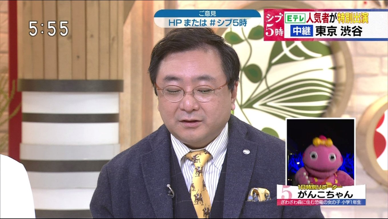 がんこちゃん専用 🌳ざわざわ森のがんこちゃん ふぃぎゅあこれくしょん NHK番組で