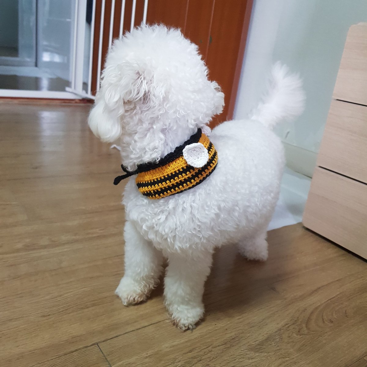 samchimom's tweet image. 꿀개