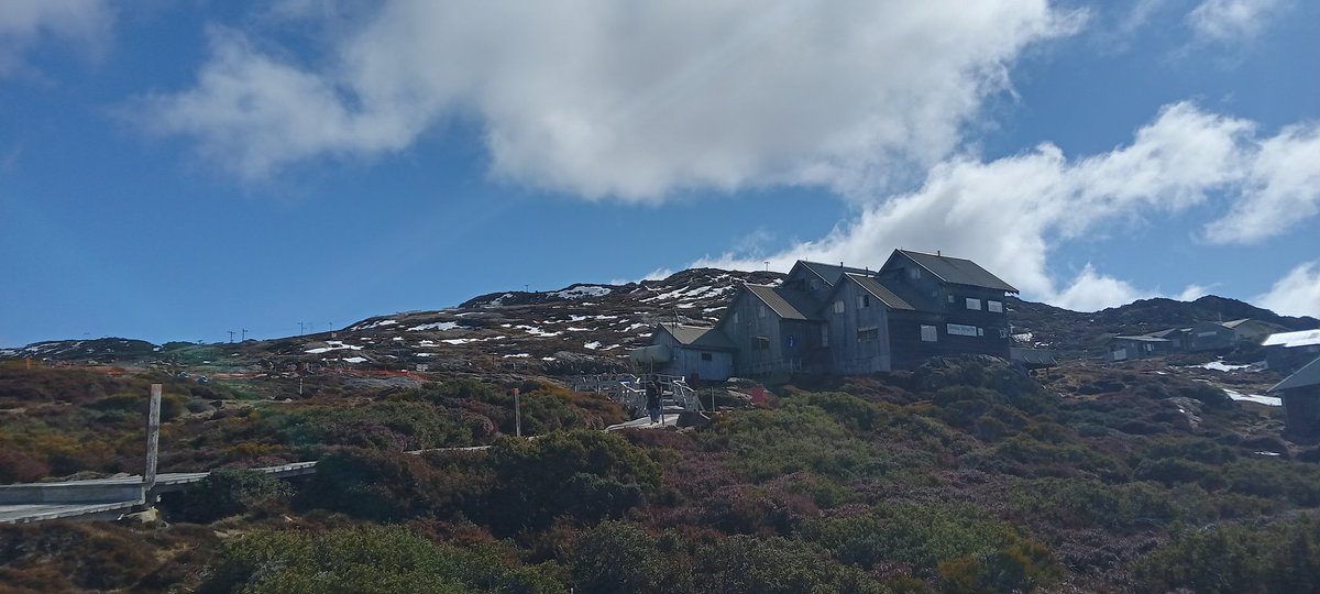 Jaroldy69's tweet photo. Then headed up to Ben Lomond
Not a bad Fathers Day. #MapOfTassie https://t.co/nxJigBHoHs
