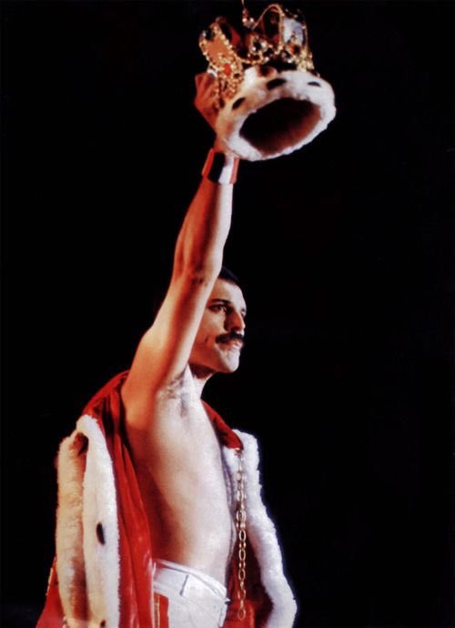thinkerfreddie's tweet photo. happy heavenly birthday to the legendary freddie mercury. https://t.co/XNGwCAPpyk