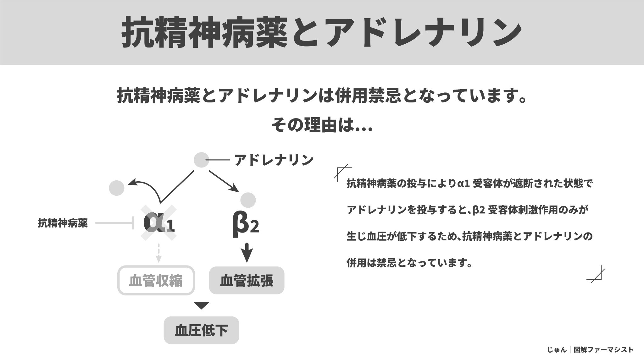 オーロビンド ファーマ アンピシリン ナトリウム リーフレット
