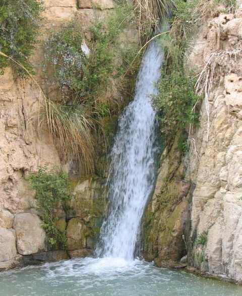 tukwa2's tweet photo. #savetheplanet
#allrainforest 
#saveJerusalemRiver 
#climatestrikeonline
#plantTrees4future 
@endelstamberg 
@redmayne_robert 
@WinnieCheche 
@GarciaVirginie9  
@UNEP https://t.co/GQR9C1rWn1