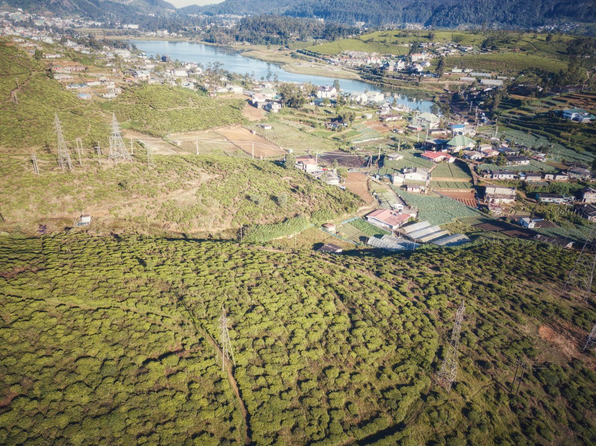 wadwathsala's tweet photo. Nuwara Eliya, Sri Lanka

#lka #srilanka #nuwaraeliya #dji #dronephotography #travelphotography #naturephotograpahy https://t.co/G4FEW04mG1