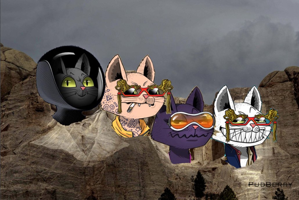 Just made the whitelist for @marscatsvoyage  Thank you 🙏🏽