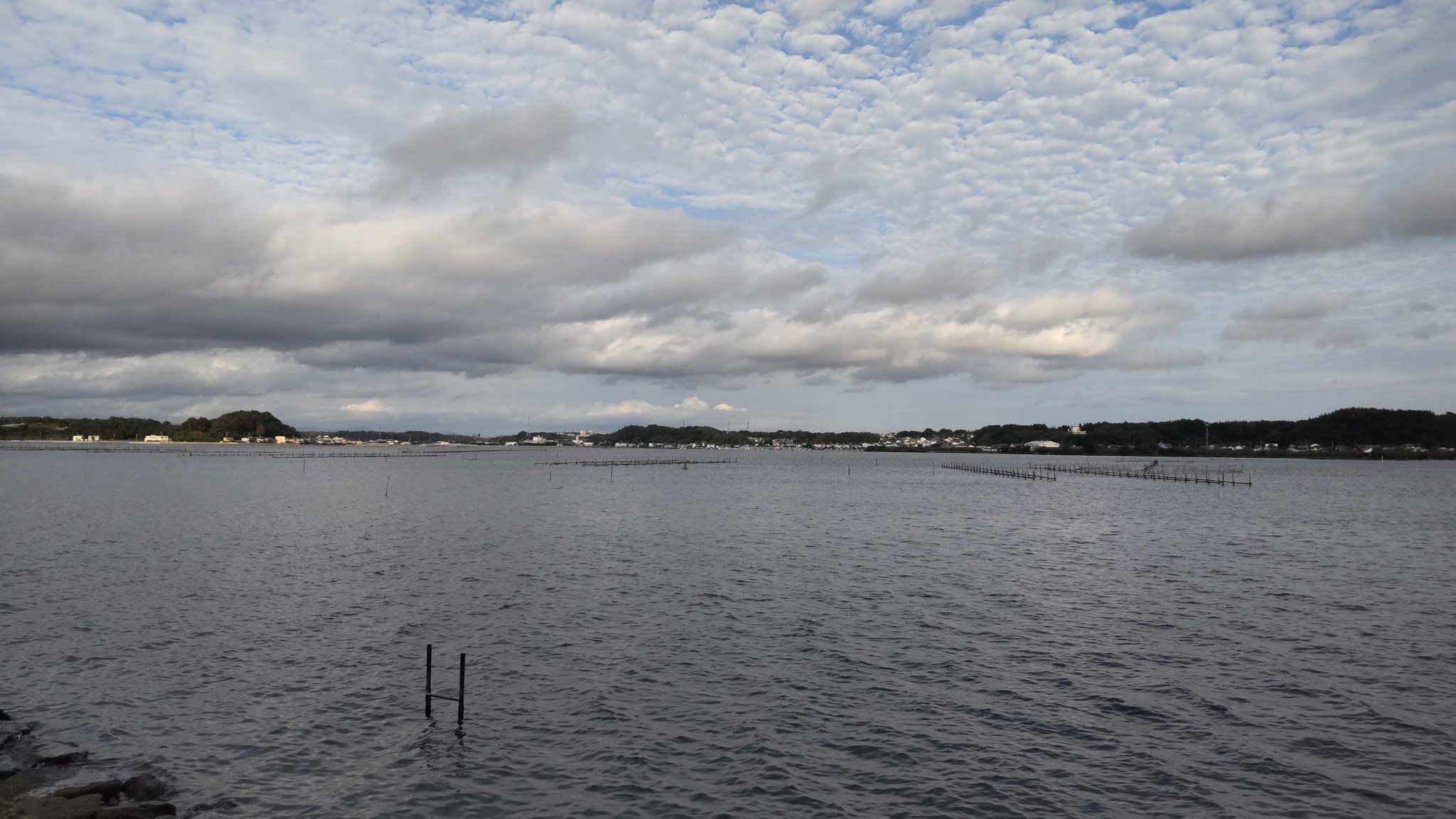 まじ釣りshin 浜名湖 Majiturishin Twitter