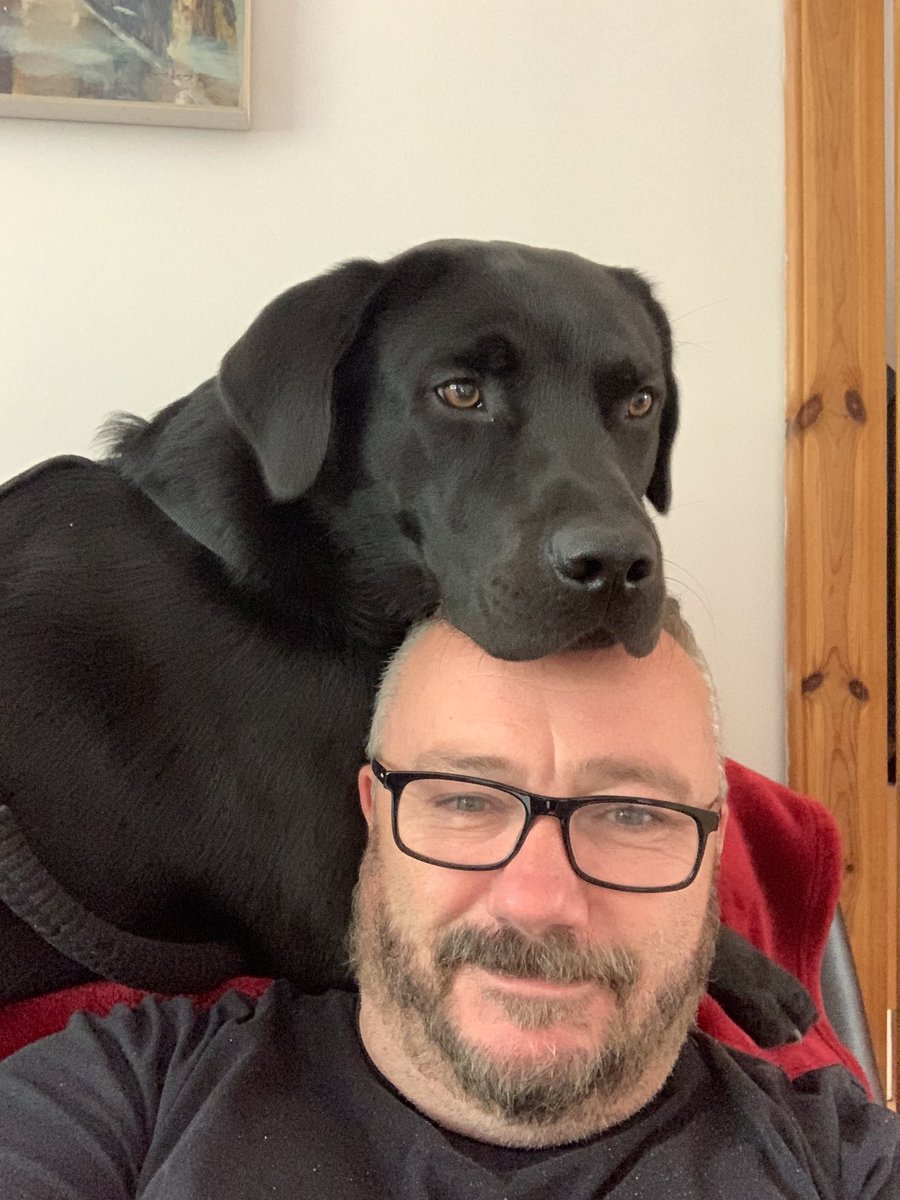 OllydaDog1's tweet photo. This is a call to action fellow soldiers!   I have been hovering just under 3k followers for ages now.   Please help #dogsoftwitter #ZSHQ https://t.co/Z63TsaB6FY