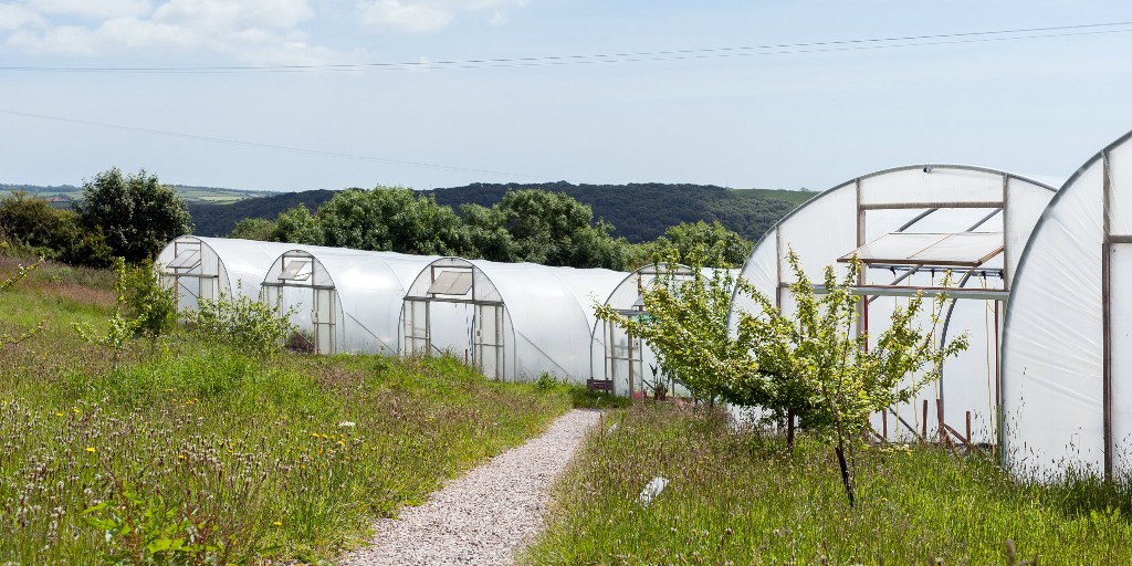 Meet the Producers: <a href="/SDCF_CO_UK/">SDCF</a>. We discover how a “Seed to Sauce” philosophy keeps Devon’s hottest small batch producer on top. Read more: ow.ly/KCBV50G29Gj