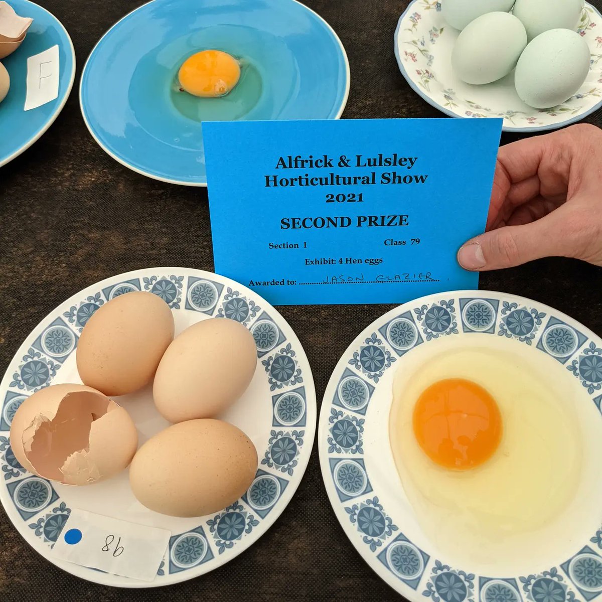 "Eggscuse" the mess but this wonderful boy won most handsome dog at the village show yesterday and we placed 2nd for our eggs thanks to our ex battery hens now living a free and happy life. Think I'm heading to middle age fast 😂. #proudanimaldad