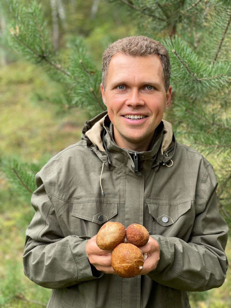 Nikita_Chaplin's tweet image. Подмосковные леса прекрасны в любое время года, а этой осенью они еще и богаты на грибы. Сезон тихой охоты начался, всем грибникам удачи!