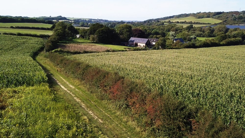 NFUtweets's tweet photo. If you're on the path towards #NetZero, join hundreds of British farmers by signing our #Pledge2040 map and be in with a chance of winning our monthly prize 🙌 Visit NFU Online to hear from our August winners and find our more👉 https://t.co/isjfaOspAv https://t.co/COrxDH3aIX