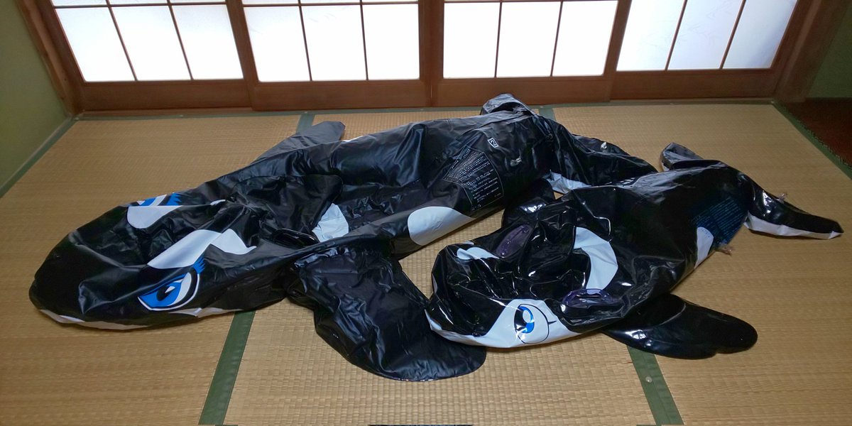 ぷしゅー ぷしゅー シャチフロート、親子揃って、空気抜き。