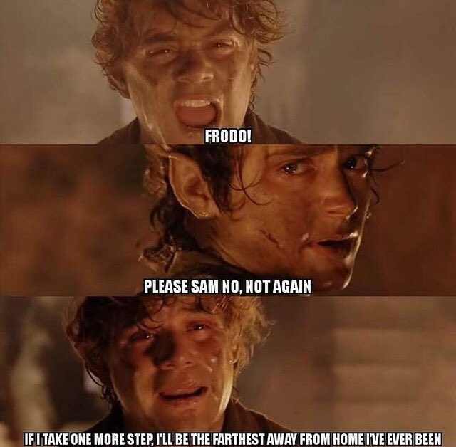 earthmemea's tweet image. 