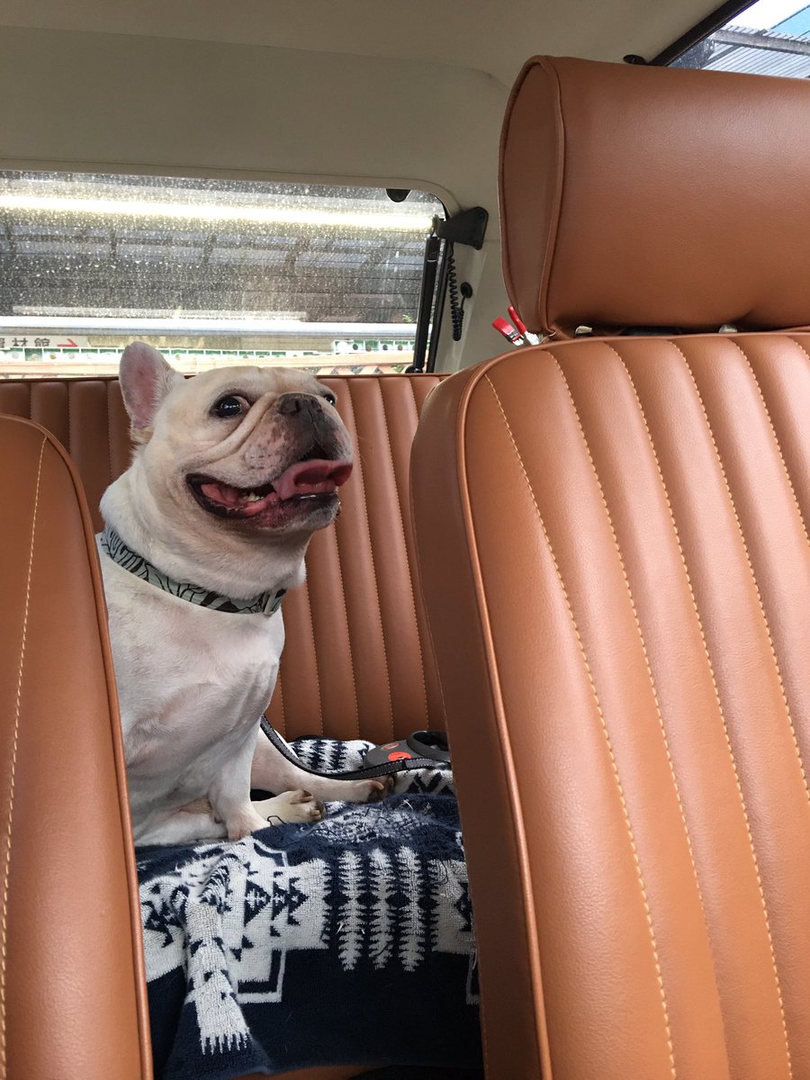 Dante Typhon 車の運転久しぶり