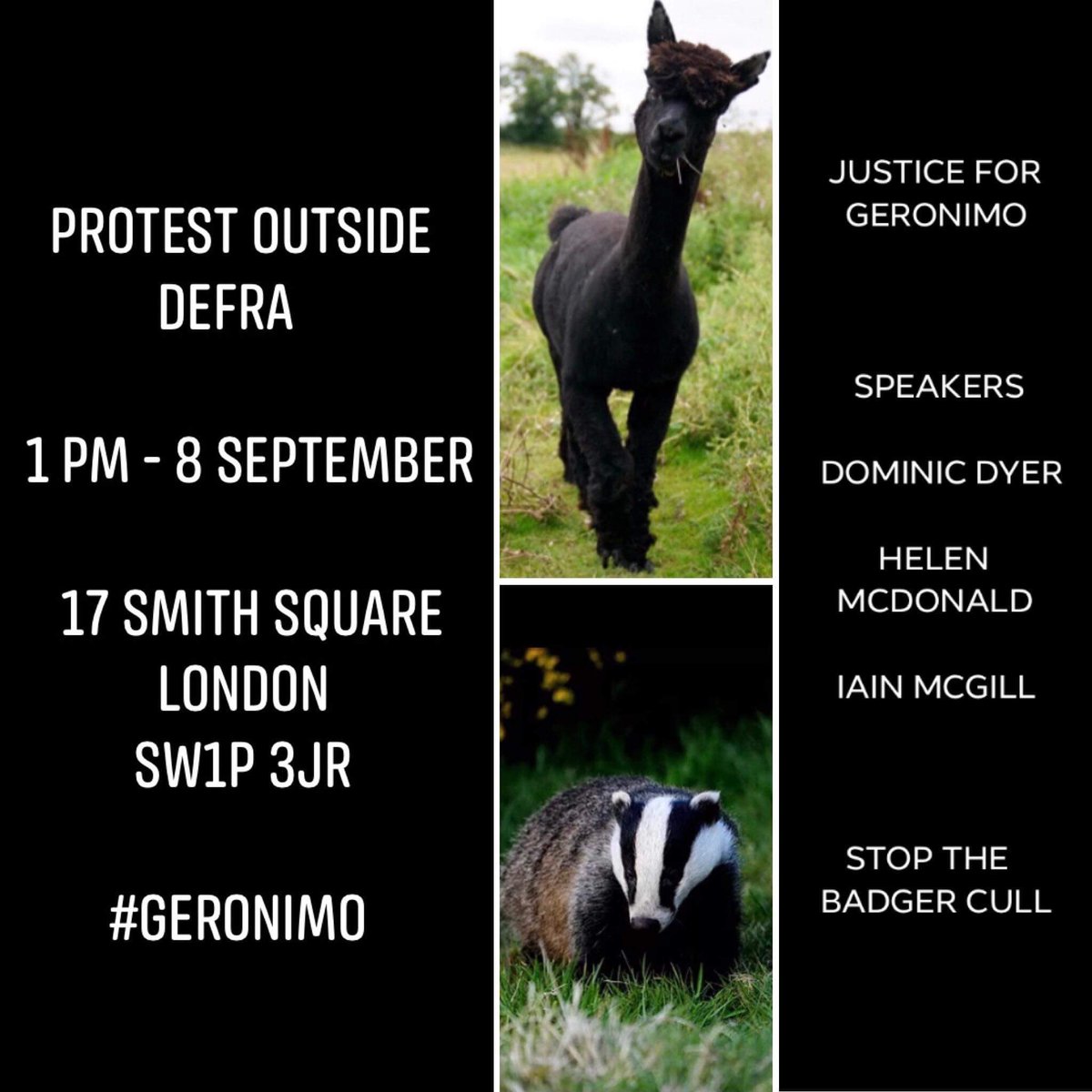 If you care please try & be there let’s make this huge @PeterEgan6 @ChrisGPackham @BornFreeFDN @HSIUKorg @alpacapower @IainTime @OtlPodcasts @TheSun @MrHarryCole @TVKev @SaveGeronimo #Geronimo facebook.com/events/s/justi…