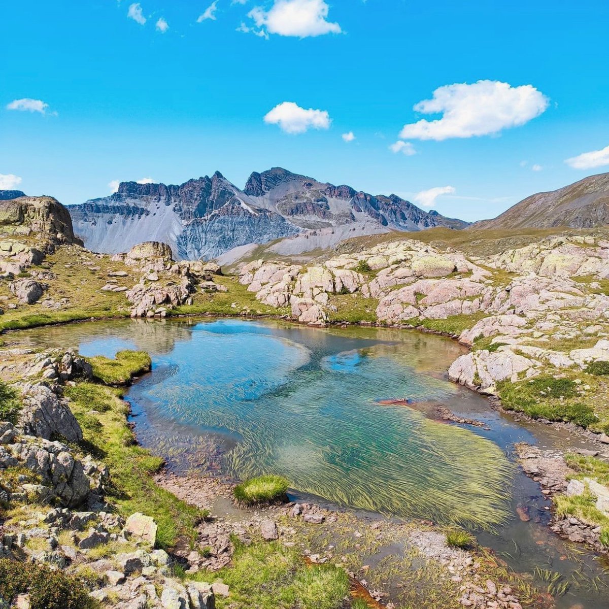 #Rando06 : L'un des lacs de Morgon qui constituent un chapelet de lacs situés dans la vallée de la Tinée. 😍

📷 <a href="/AnnePestel/">Anne Pestel</a> #CotedAzurFrance #AlpesMaritimes #landscape06 #puresalpes #nature <a href="/AlpesMaritimes/">alpesmaritimes</a>