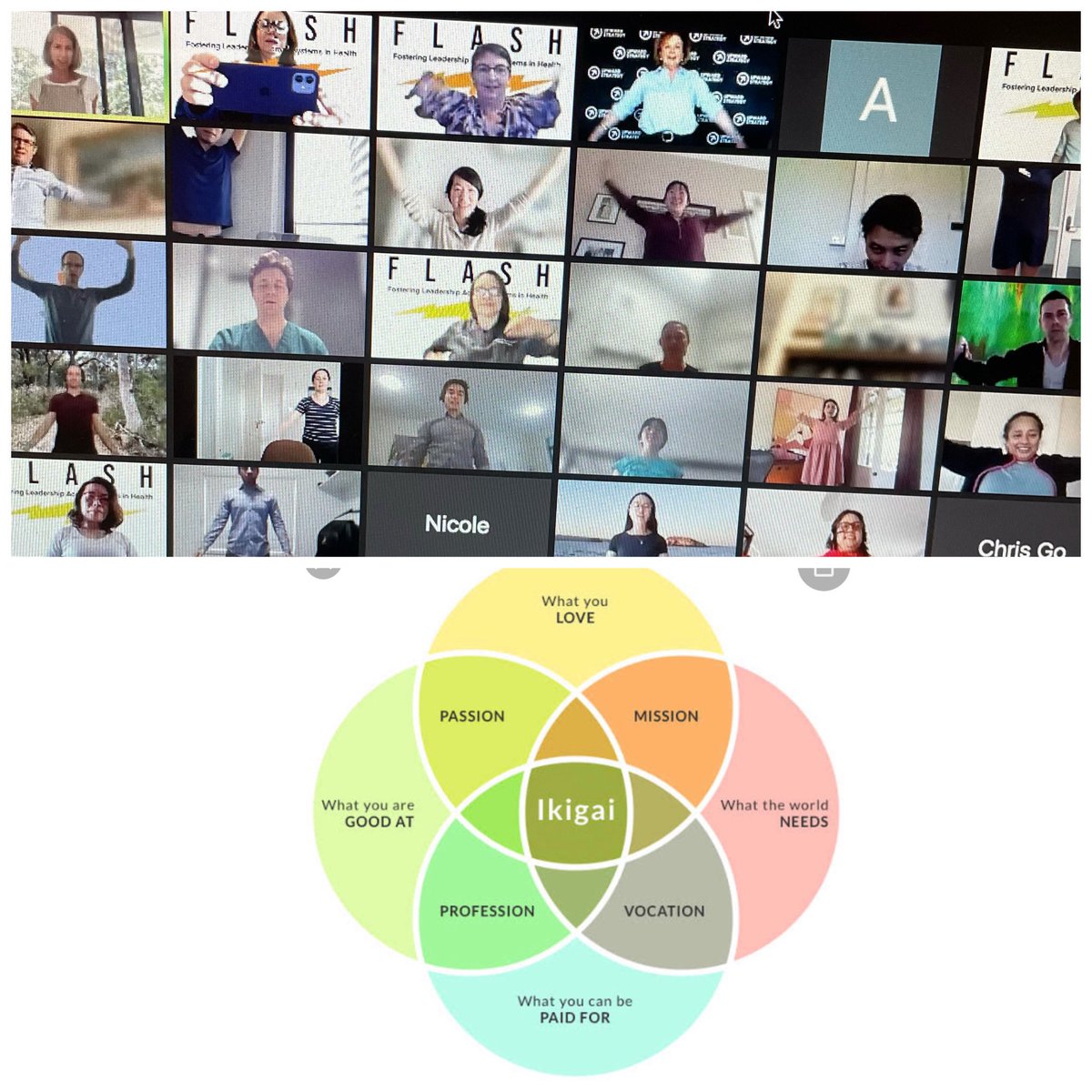 sandraturner49's tweet photo. From the science of laughter w @RosBenMoshe to Ikigai (Japanese concept: our Reason for Being) w Renee Lim, #FLASH2021 early career leaders are pushing boundaries for #SystemsImprovement #Health #Leadership #MedEd
@WestSydHealth @NthSydHealth @RENWestmead https://t.co/vHxcPcytaN