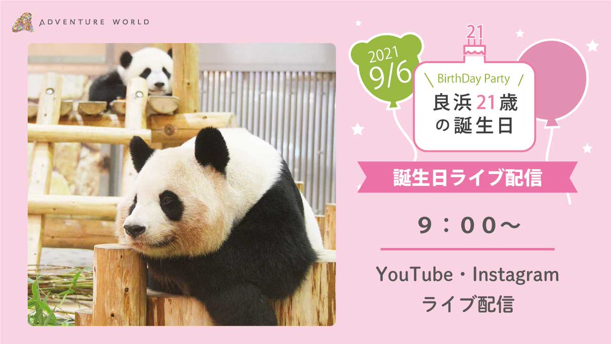 アドベンチャーワールド 公式 明日 9 6 21歳の誕生日を迎える 良浜 へ大好物ばかりを盛り合わせた 良浜スペシャルプレート をプレゼント 9 00 約10分間 公式snsにてライブ配信いたします プレゼントは喜んでくれるでしょうか 公式youtube