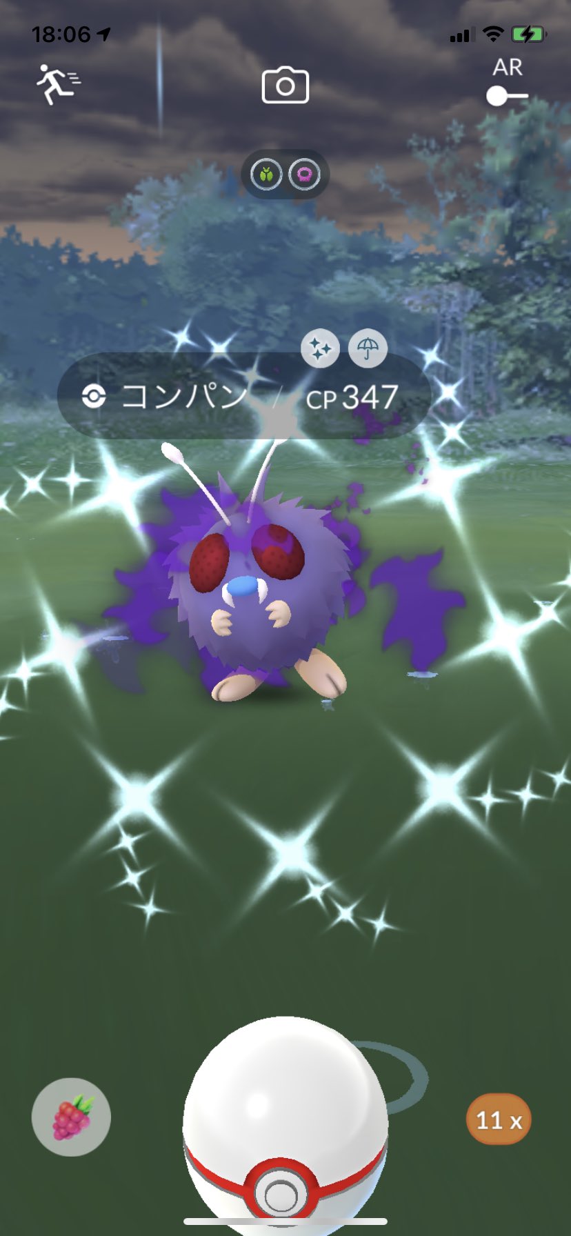 ポラリス Twitter પર ポケモンgo ロケット団のアルロと戦って色違いシャドウコンパン出ました こないだも出て2匹目なのでモルフォンに進化させてみました ポケモンgo 色違い シャドウ コンパン モルフォン T Co Wbxxrvkcou Twitter