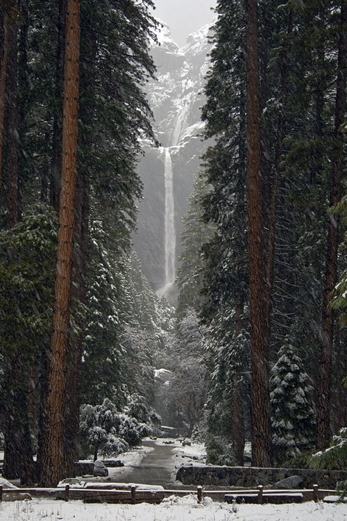 nLower Falls, Yosemite, California #LowerFalls #Yosemite #California jasontrevino.com