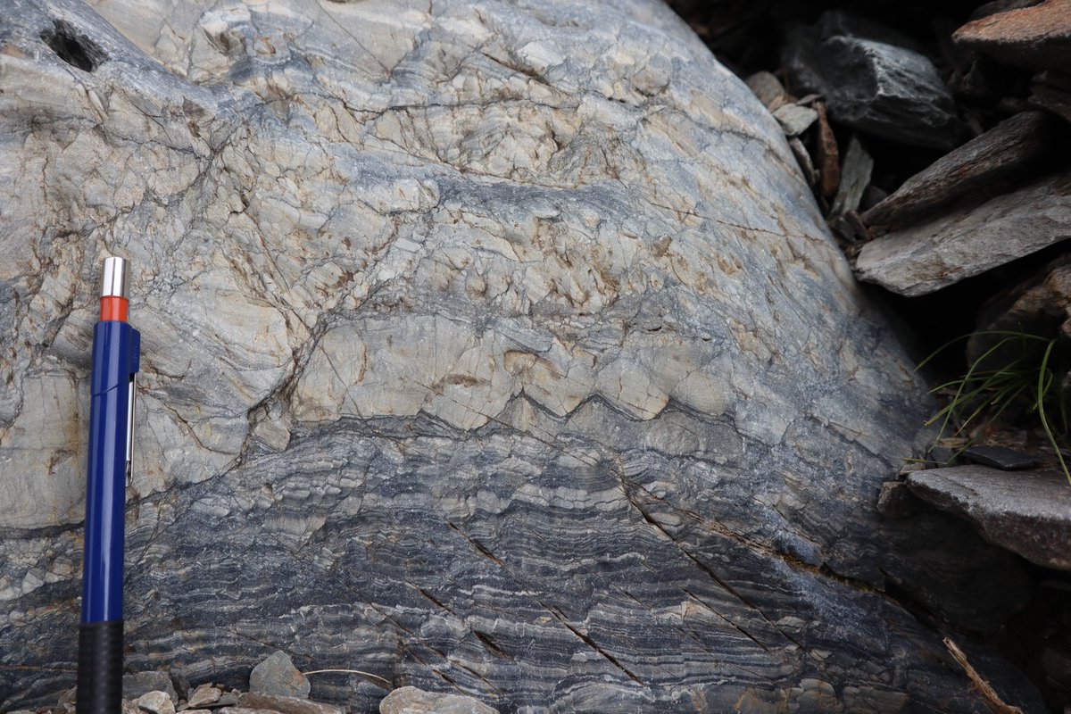 Deformation, Fluids, Tectonics Group #UniBO (@dft_unibologna) on Twitter photo The DFT research group on the road! Annual <a href="/GigsItalia/">Gruppo Italiano di Geologia Strutturale - GIGS</a> fieldtrip in the beautiful landscapes of the #Orobian #Alps!
Thanks to everyone for the great experience, nice to be back in the field with old and new friends!
<a href="/transtension/">giulio viola</a> <a href="/GianlucaVignar1/">Gianluca Vignaroli</a> <a href="/Cost_zuccari/">Costantino Zuccari</a> @crimp_alberto The DFT research group on the road! Annual <a href="/GigsItalia/">Gruppo Italiano di Geologia Strutturale - GIGS</a> fieldtrip in the beautiful landscapes of the #Orobian #Alps!
Thanks to everyone for the great experience, nice to be back in the field with old and new friends!
<a href="/transtension/">giulio viola</a> <a href="/GianlucaVignar1/">Gianluca Vignaroli</a> <a href="/Cost_zuccari/">Costantino Zuccari</a> @crimp_alberto