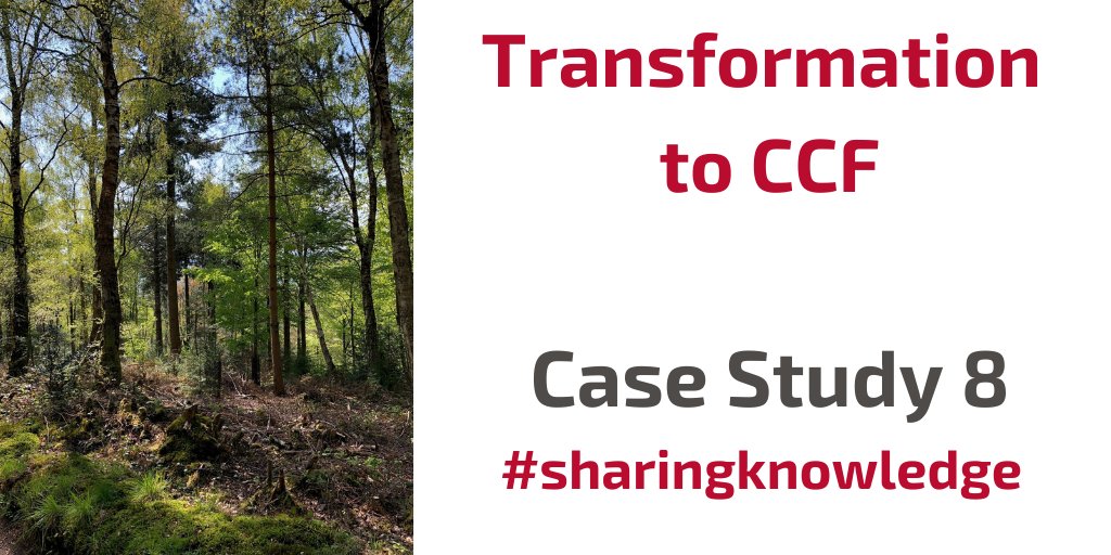 royal_forestry's tweet photo. Transformation to CCF and species diversification #Exmoor Case Study 8 in new Managing for Resilience report created in partnership with @ForestryComm https://t.co/olFbbIyBKR #climatechange #resilientwoods #CCF #continuouscoverforestry https://t.co/dl0IO0SBHi