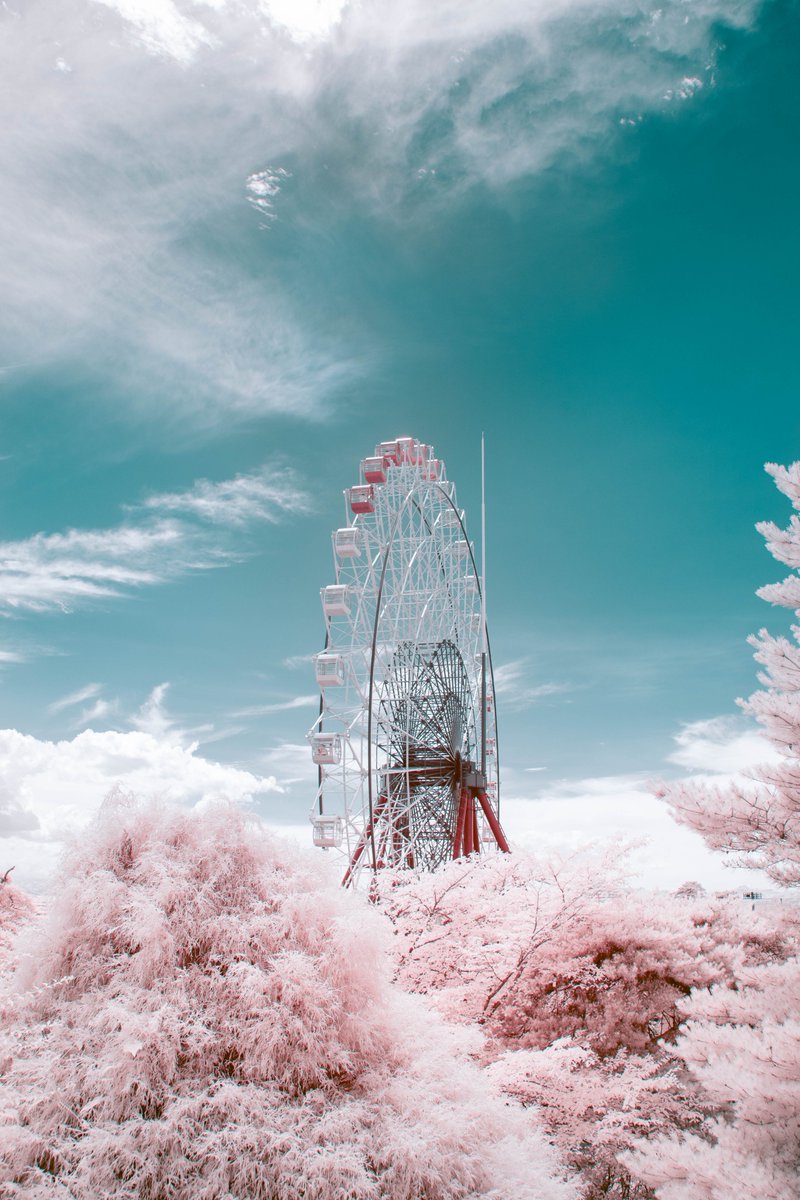 Timeless Ferris Wheel