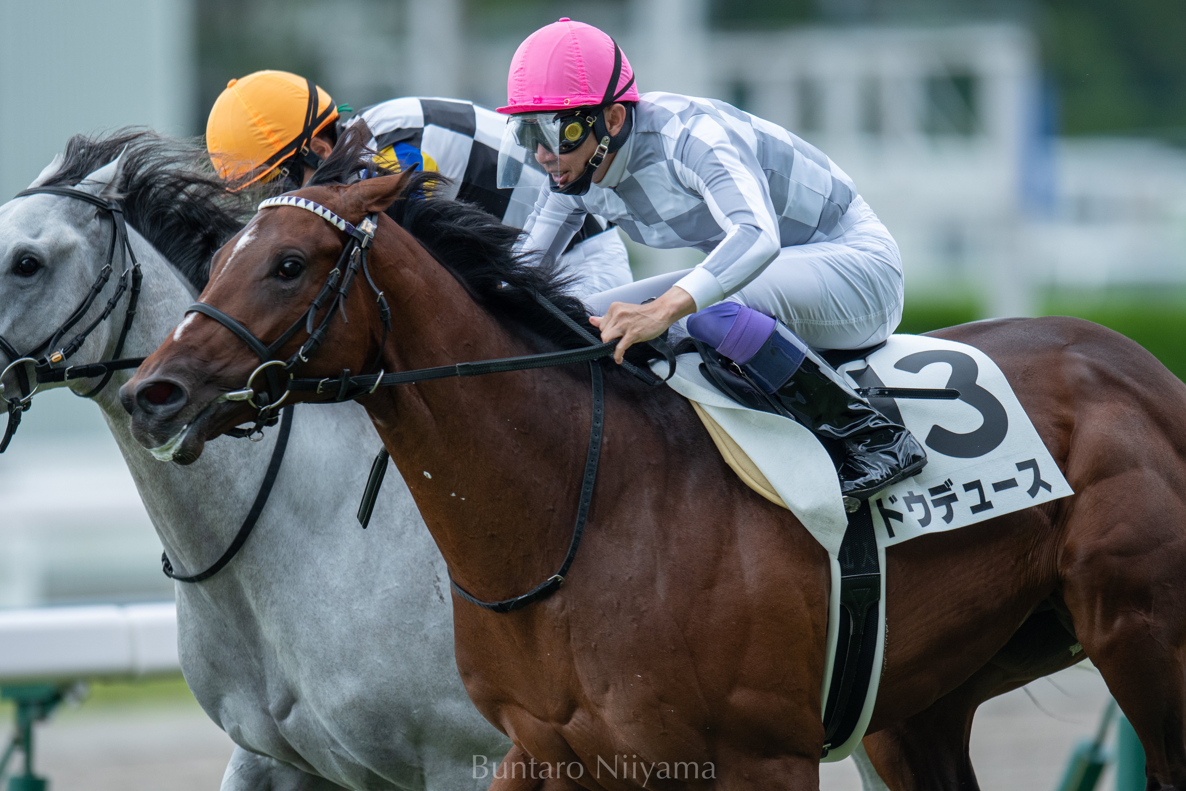 2178❣️ 瑪瑙　馬　唐馬　戦闘馬 Buntaro (@Bun_horseracing) / X