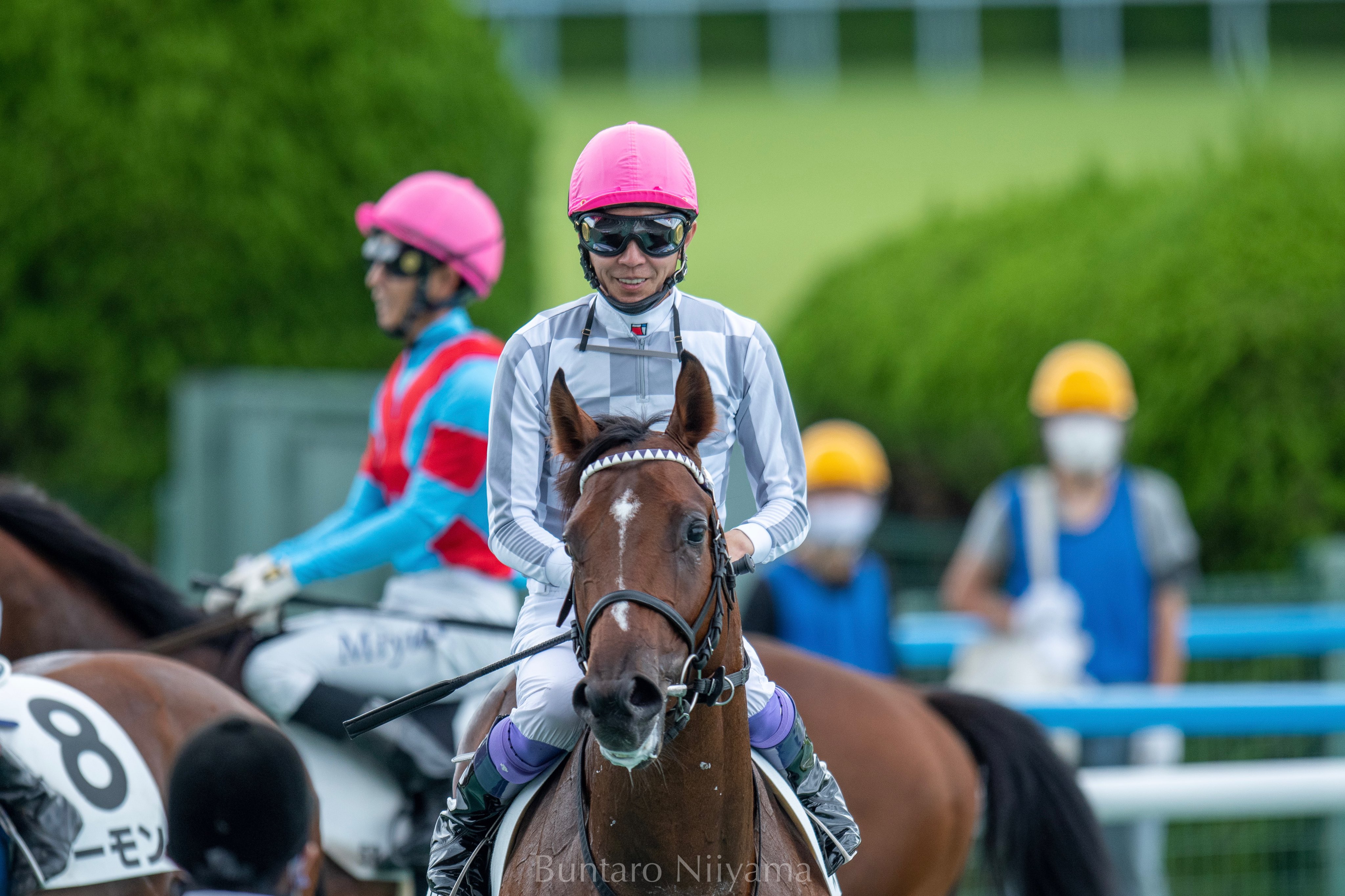 2178❣️ 瑪瑙　馬　唐馬　戦闘馬 Buntaro (@Bun_horseracing) / X