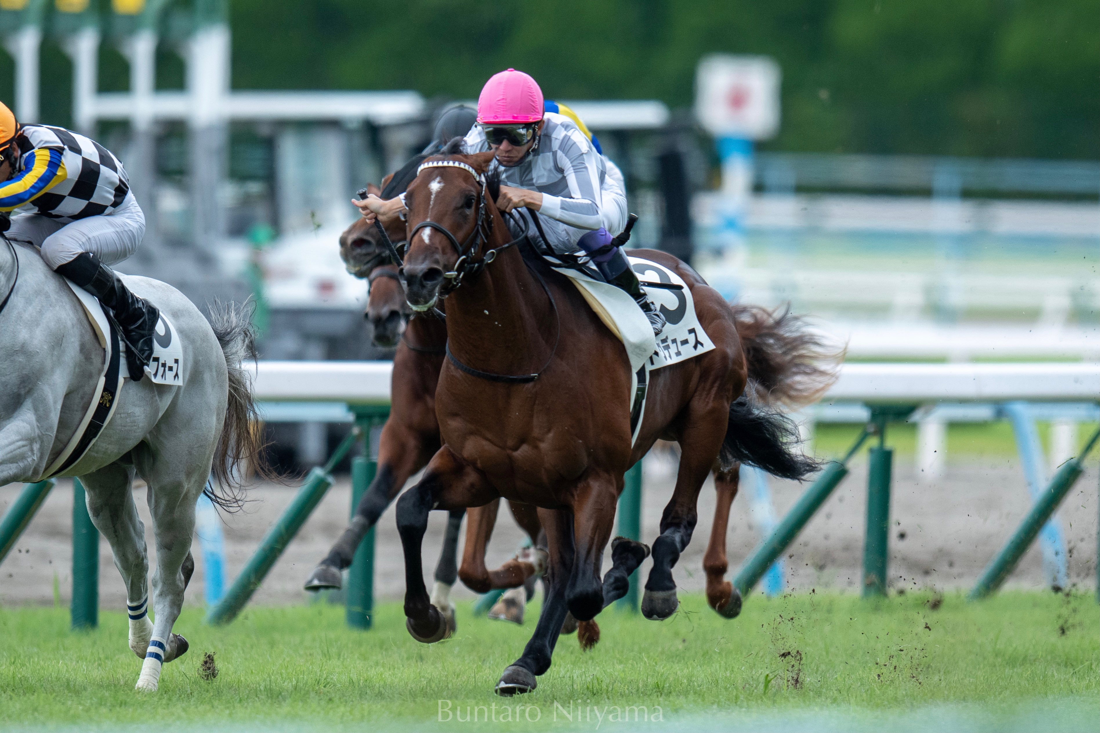 2178❣️ 瑪瑙　馬　唐馬　戦闘馬 Buntaro (@Bun_horseracing) / X