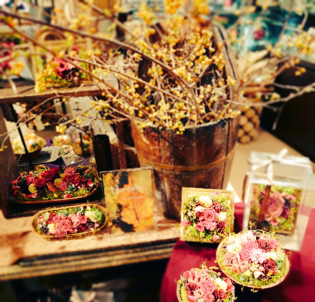 Flower Shop Phoenix Phoenixflower تويتر Flower Shop Phoenix Phoenixflower تويتر