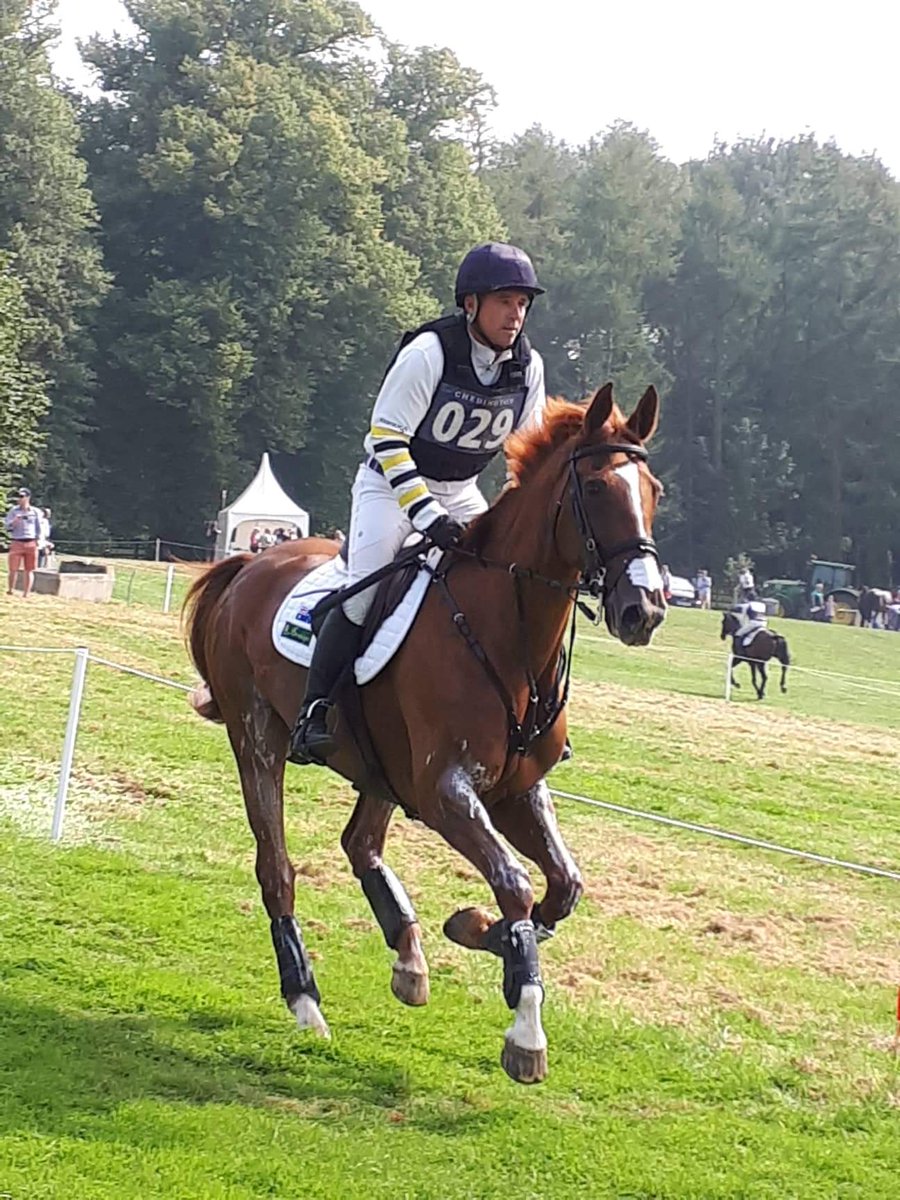 Sam Griffiths (@griffiths_sam) on Twitter photo Great event. Well done <a href="/BictonArena/">Bicton Arena</a> Gutera Cher finished 13th at her first CCI5*
Thrilled with this mare. Thanks owners and sponsors.including <a href="/TRMNutrition/">TRM® Nutrition | Equine Health</a> <a href="/SaracenFeeds/">Saracen Horse Feeds</a> Great event. Well done <a href="/BictonArena/">Bicton Arena</a> Gutera Cher finished 13th at her first CCI5*
Thrilled with this mare. Thanks owners and sponsors.including <a href="/TRMNutrition/">TRM® Nutrition | Equine Health</a> <a href="/SaracenFeeds/">Saracen Horse Feeds</a>