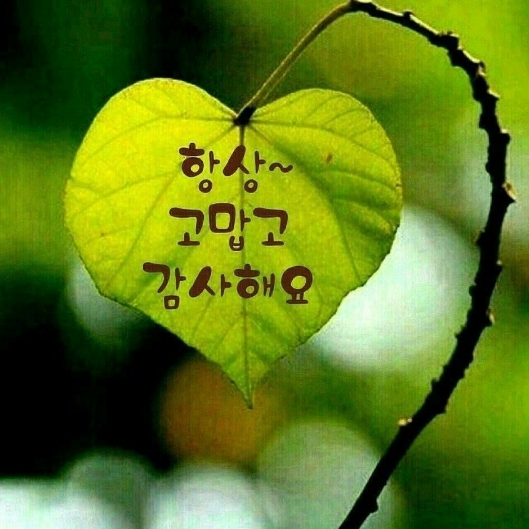 밖에 나가면 절대 안될 일입니다

왜냐 하면

달달한 초코렛을 좋아하는 것들이 참 많을 수 있으니까요

초코렛을 고양이만 좋아하는게 아닐 수 있습니다

초코렛 고양이 밖에 나갔다 오면

아마 못 알아 볼지도 모를 정도 일수 있습니다

왜냐면 초코렛 고양이 때문입니다
ㅎ
즐거운 밤되소서