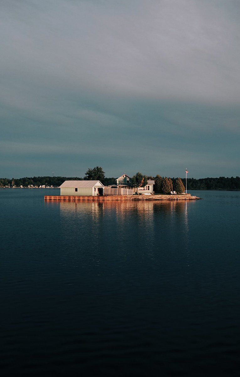 chris stein tweet media